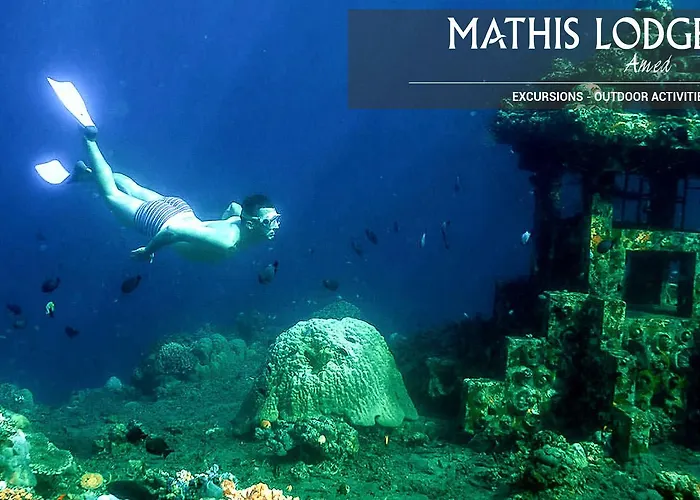 Mathis 4*