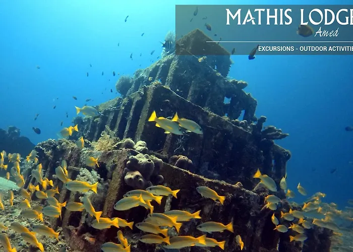 Mathis 4*