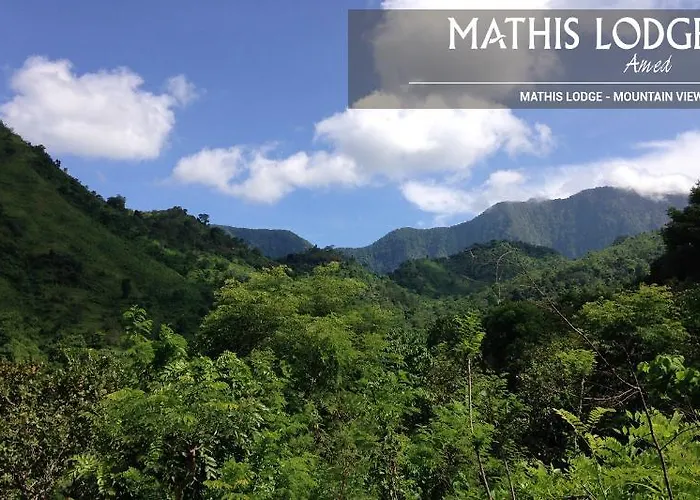 Mathis 4*
